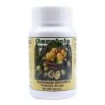 Garcinia Cambogia 60 Cap