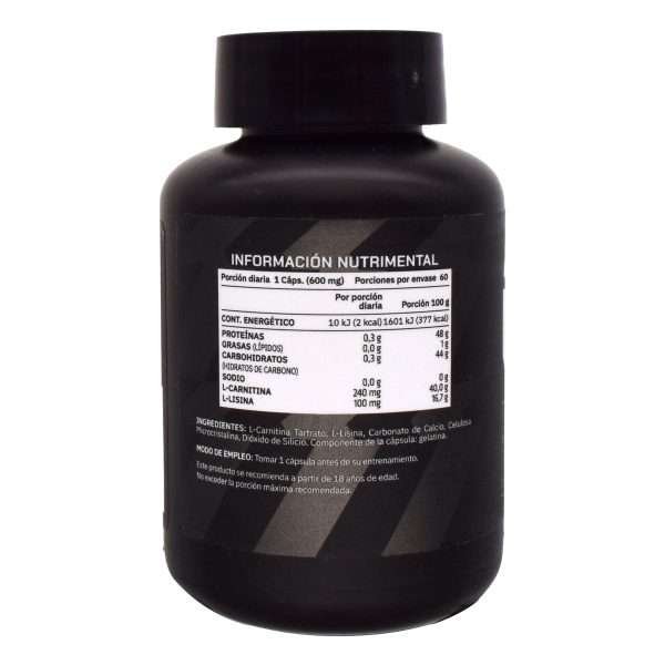 L carnitina 60 cap
