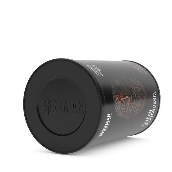 BIRDMAN Proteina vegetal chocolate bronce 722 gr