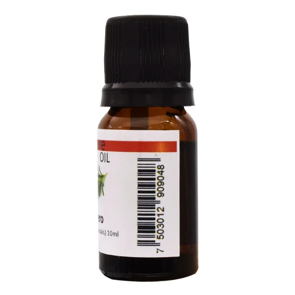 Aceite De Romero 10 Ml