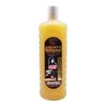 Shampoo Aceite De Argan 1.1 L